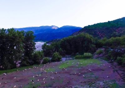 image-0-02-05-0064f3615182c5c38238ae95d4c602d0f4159a26e5956615b6b8f366be8353fe-V